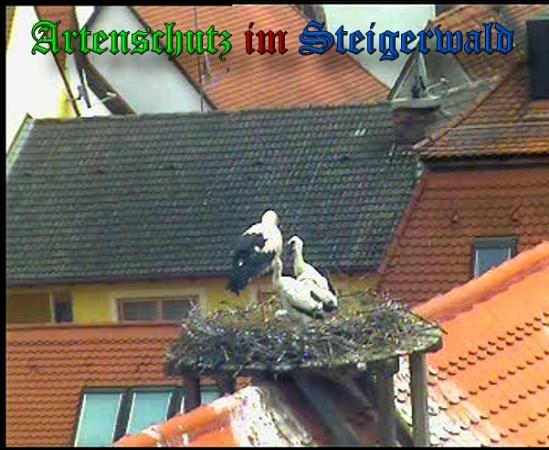 Copyright AiS / 2010 Findeis Bild zum Eintrag (31355-160)