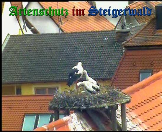 Copyright AiS / 2010 Findeis Bild zum Eintrag (31356-160)