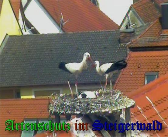 Copyright AiS / 2010 Bild zum Eintrag (31358-160)