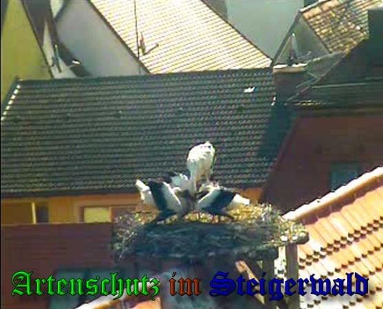 Copyright AiS / 2010 Bild zum Eintrag (31360-160)