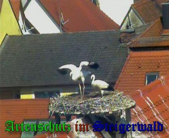Copyright AiS / 2010 Bild zum Eintrag (31361-160)