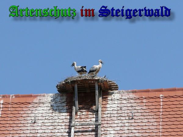 Copyright AiS / 2010 Bild zum Eintrag (31365-160)