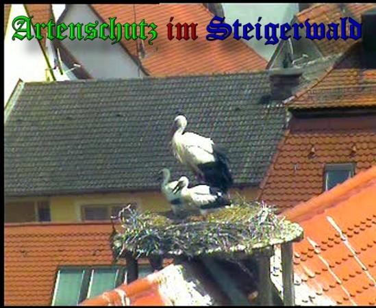 Copyright AiS / 2010 Bild zum Eintrag (31366-160)