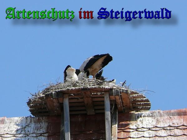 Copyright AiS / 2010 Bild zum Eintrag (31367-160)