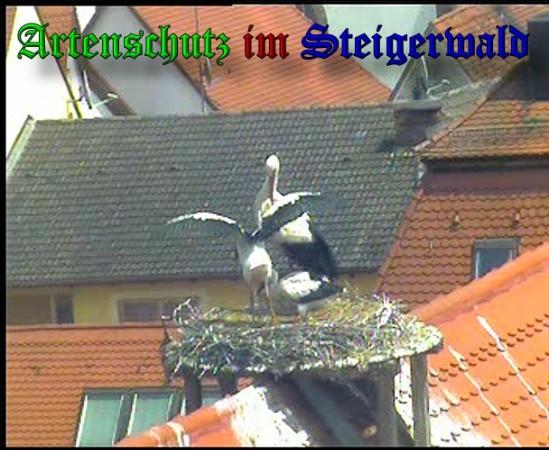 Copyright AiS / 2010 Bild zum Eintrag (31369-160)