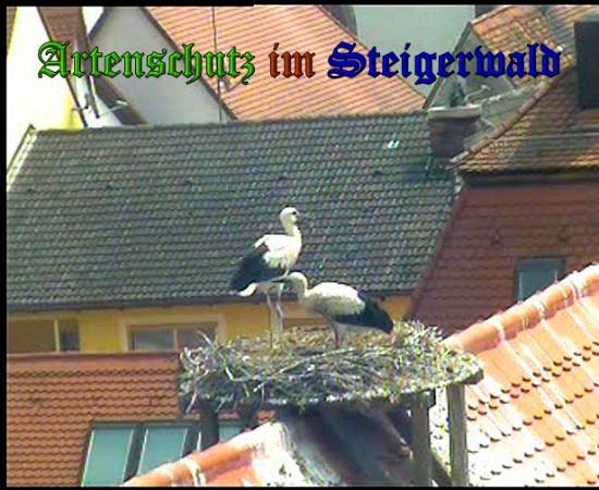 Copyright AiS / 2010 Bild zum Eintrag (31370-160)