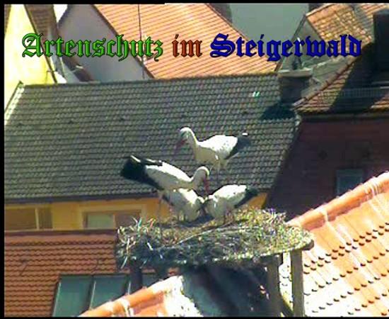 Copyright AiS / 2010 Bild zum Eintrag (31371-160)