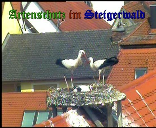 Copyright AiS / 2010 Bild zum Eintrag (31372-160)