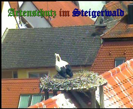 Copyright AiS / 2010 Bild zum Eintrag (31373-160)