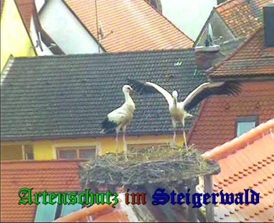 Copyright AiS / 2010 Bild zum Eintrag (31446-160)