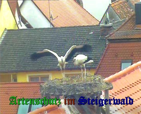 Copyright AiS / 2010 Bild zum Eintrag (31447-160)