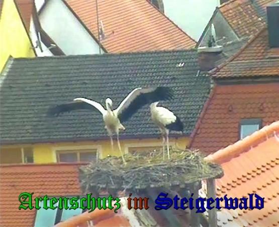 Copyright AiS / 2010 Bild zum Eintrag (31448-160)
