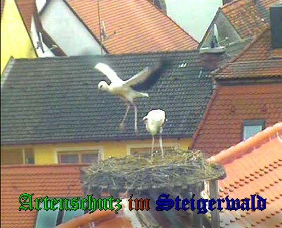 Copyright AiS / 2010 Bild zum Eintrag (31449-160)