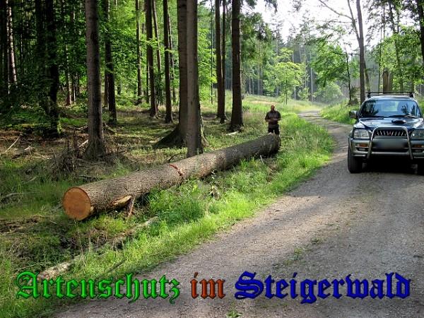 Copyright AiS / 2010 Bild zum Eintrag (31481-160)