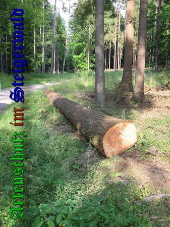 Copyright AiS / 2010 Bild zum Eintrag (31484-160)