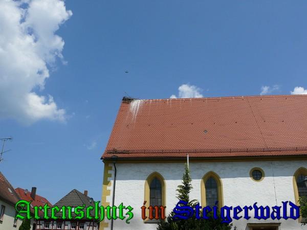 Copyright AiS / 2010 Bild zum Eintrag (31512-160)