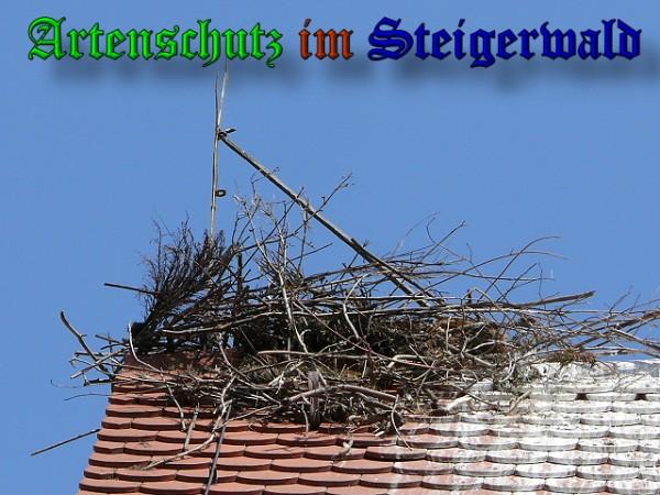 Copyright AiS / 2010 Bild zum Eintrag (31513-160)