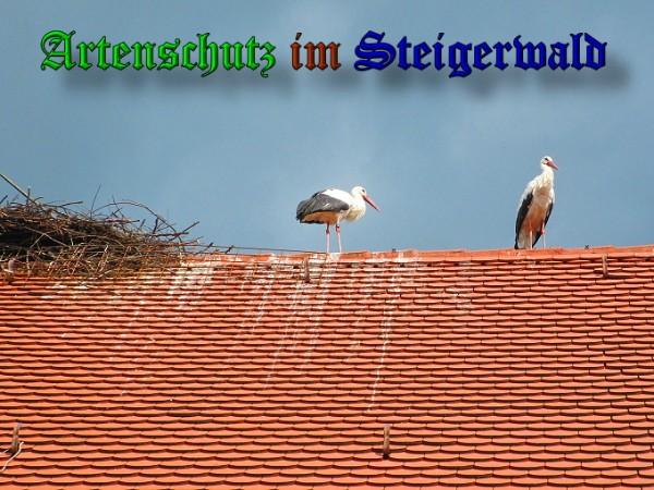 Bild zum Eintrag (31519-160)