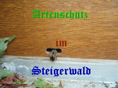 Copyright AiS / Vollmer-Weik Bild zum Eintrag (31593-160)