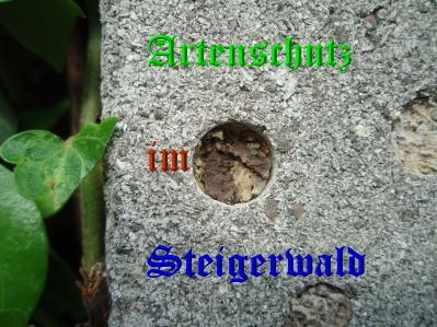Copyright AiS / Vollmer-Weik Bild zum Eintrag (31594-160)