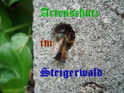 Copyright AiS / Vollmer-Weik Bild zum Eintrag (31595-160)