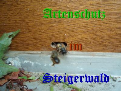 Copyright AiS / Vollmer-Weik Bild zum Eintrag (31596-160)