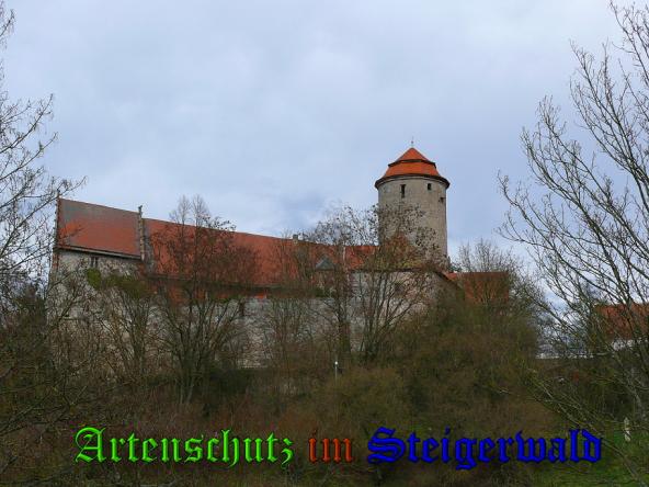 Bild zum Eintrag (31805-160)