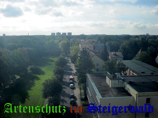 Bild zum Eintrag (32109-160)