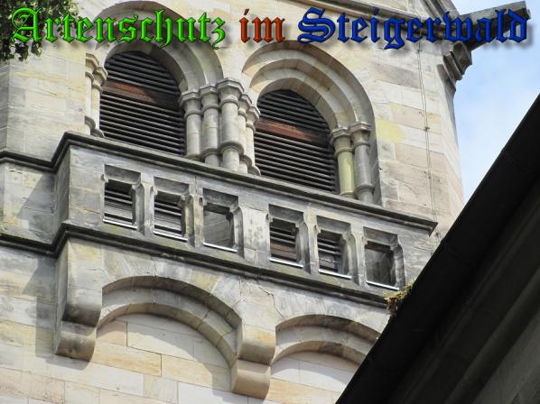 Bild zum Eintrag (32286-160)