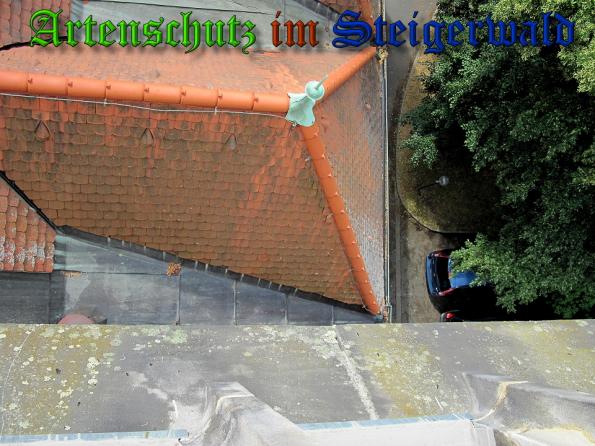 Bild zum Eintrag (32288-160)