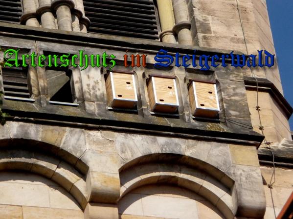 Bild zum Eintrag (32290-160)