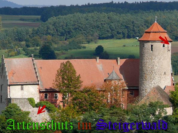 Bild zum Eintrag (32323-160)