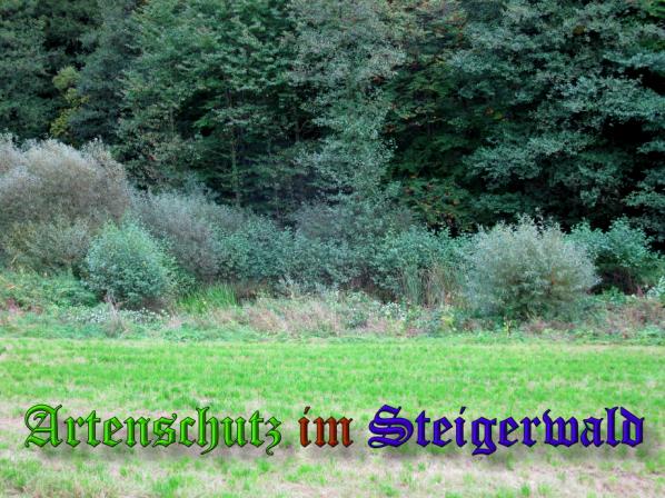 Bild zum Eintrag (32330-160)