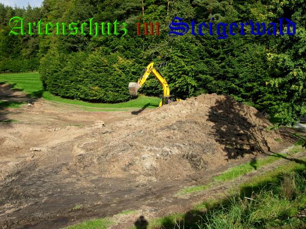 Bild zum Eintrag (32371-160)