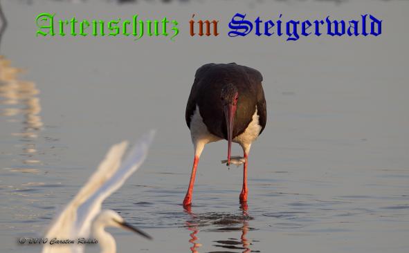 Copyright AiS - Carsten Rohde Bild zum Eintrag (32457-160)