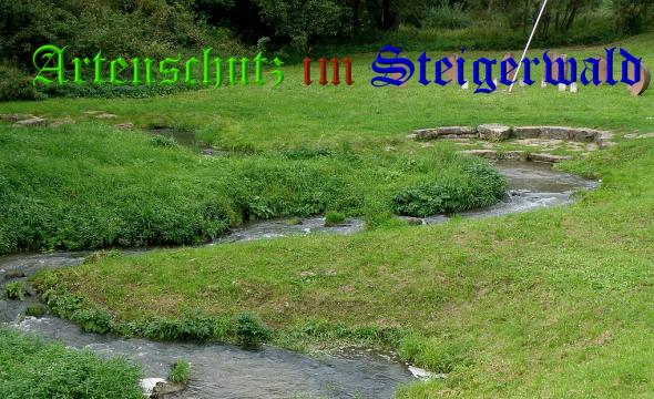 Copyright AiS- Albert Meier Bild zum Eintrag (32482-160)