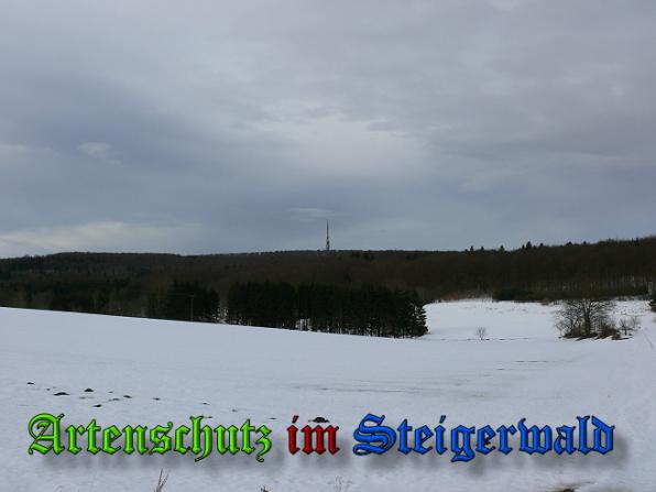 Bild zum Eintrag (32653-160)