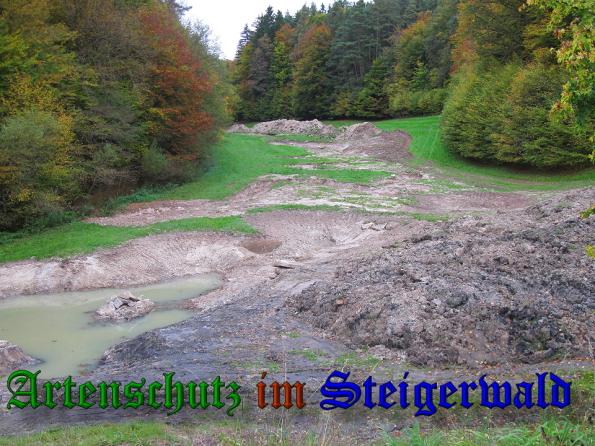 Bild zum Eintrag (32727-160)