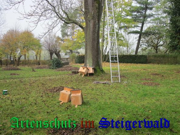 Bild zum Eintrag (32946-160)