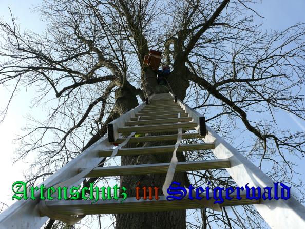 Bild zum Eintrag (32949-160)