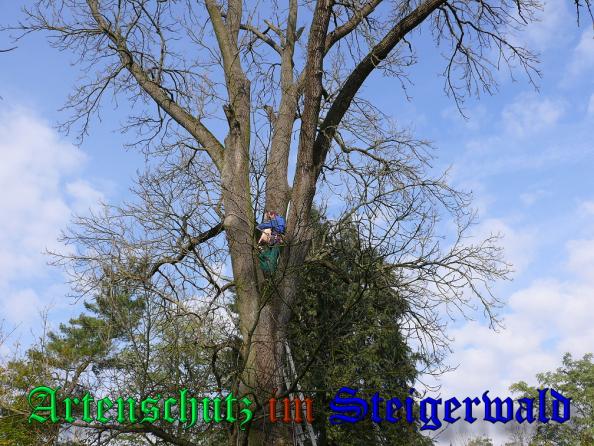 Bild zum Eintrag (32951-160)
