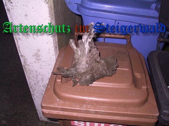 Copyright AiS-Greb Bild zum Eintrag (32954-160)