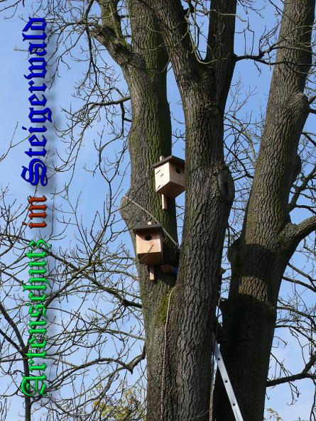 Bild zum Eintrag (32962-160)