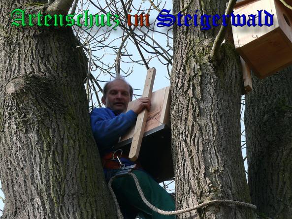 Bild zum Eintrag (32964-160)