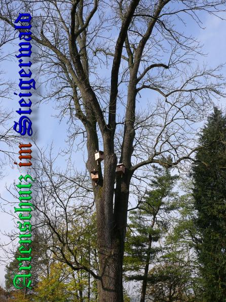 Bild zum Eintrag (32965-160)
