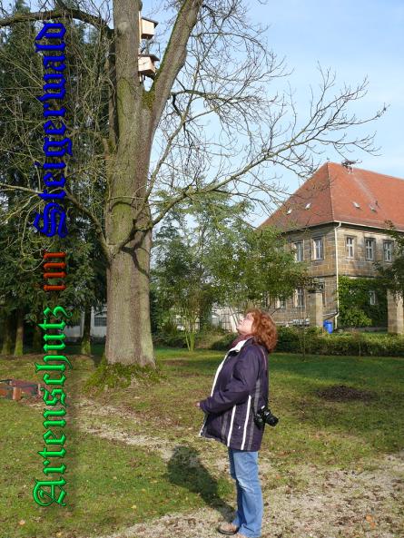 Bild zum Eintrag (32966-160)