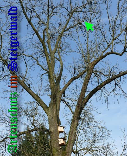 Bild zum Eintrag (32968-160)