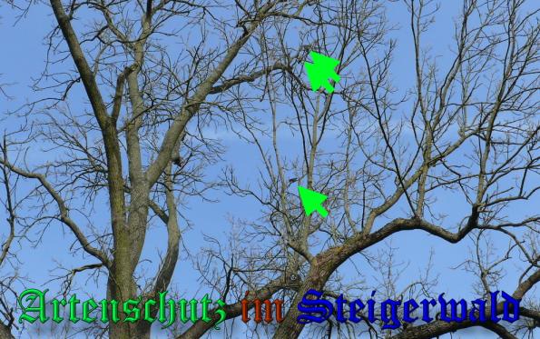 Bild zum Eintrag (32969-160)