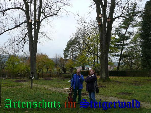 Bild zum Eintrag (32971-160)