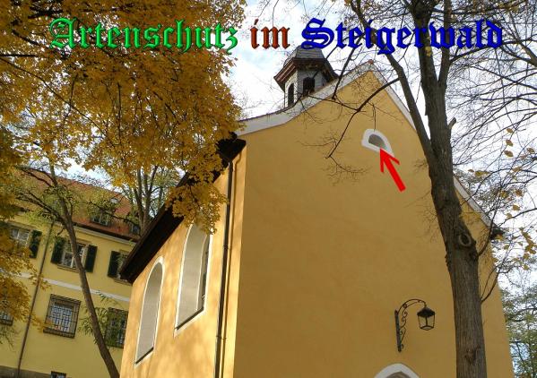 Copyright AiS- Albert Meier Bild zum Eintrag (33191-160)
